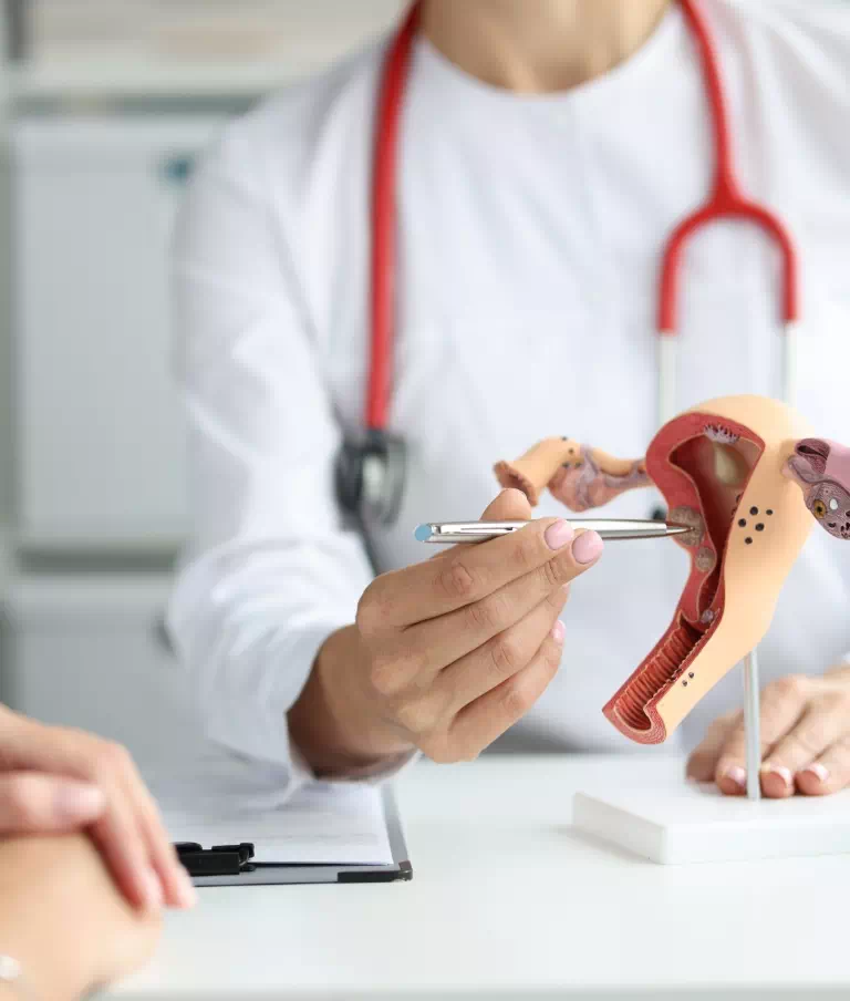 Ginekolog objaśnia pacjentce działanie układu rozrodczego